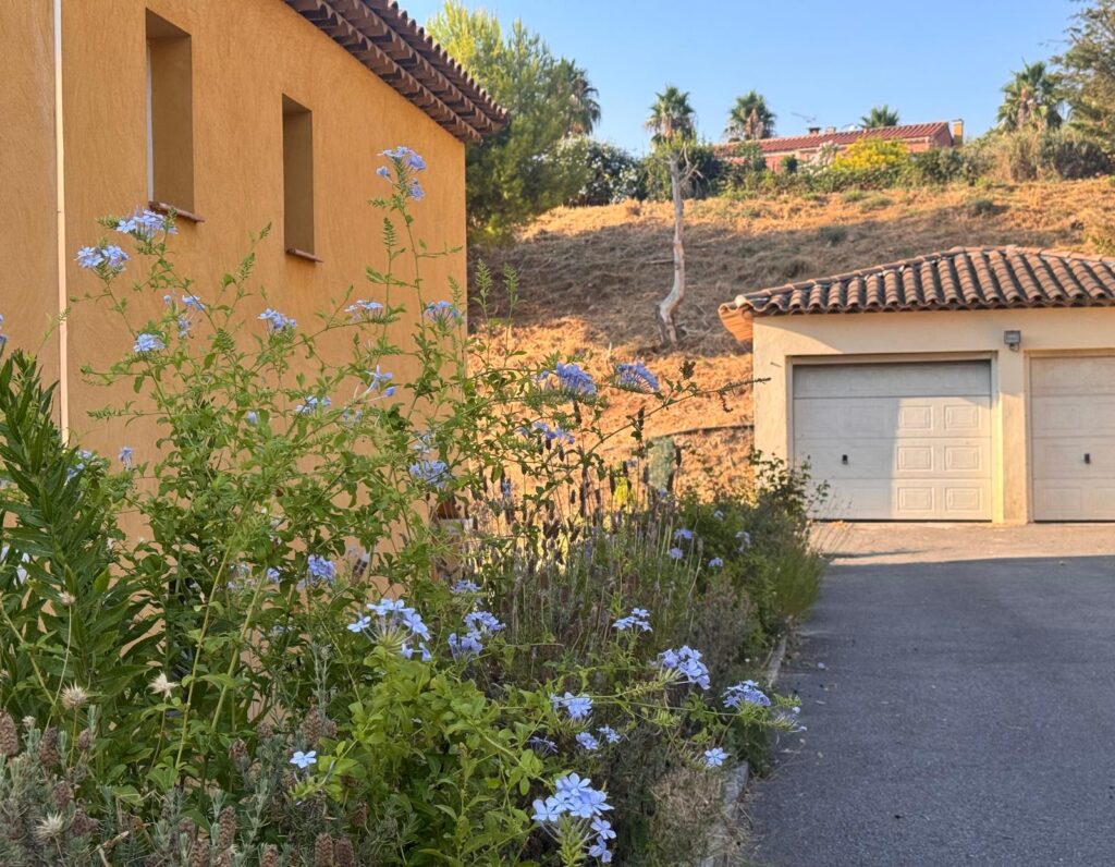 Espace détendue au cœur de la nature et de la végétation estivale sur les hauteurs de Nice